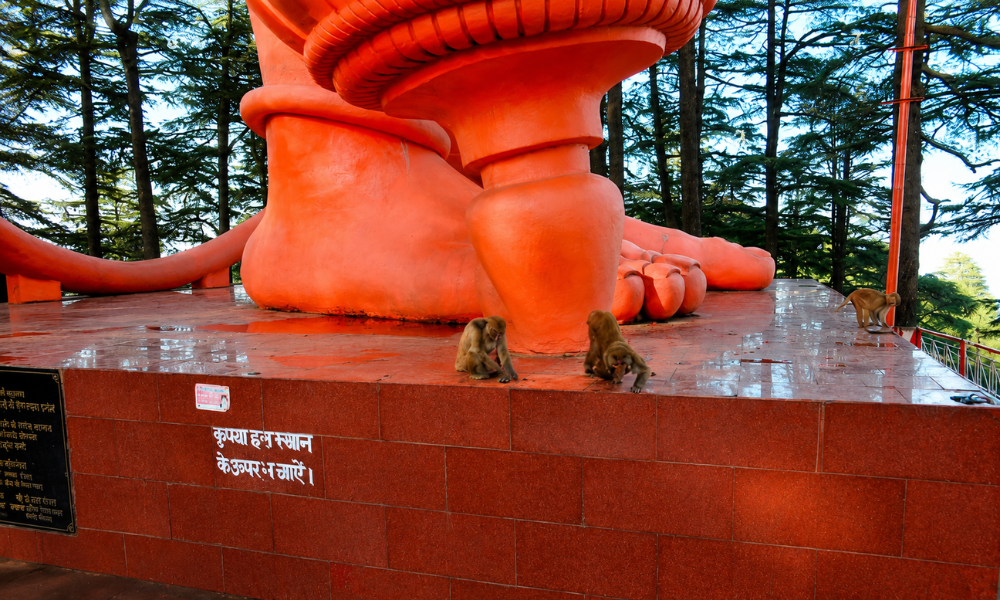 Best Time to Visit